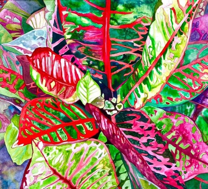 Watercolor of Coleus plant