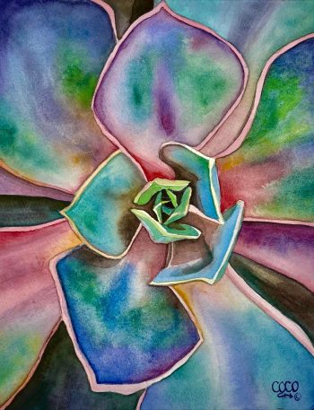 Close up view of succulent from Haight Ashbury, San Francisco