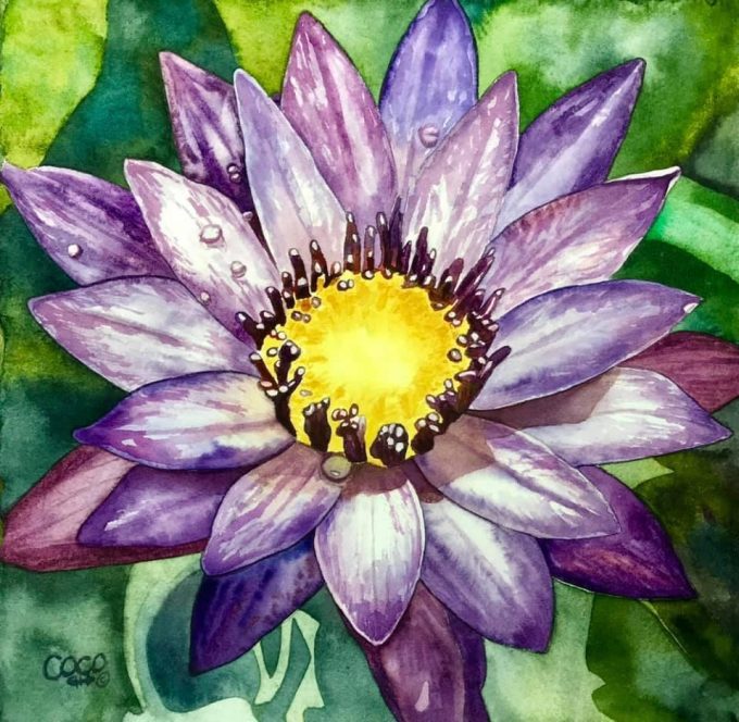 Beautiful watercolor close up of a purple water lily with yellow center.