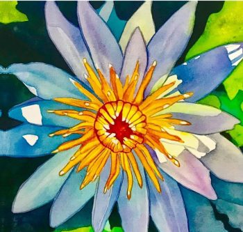 Beautiful close up of a blue and orange water lily with red center.