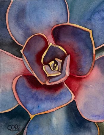 Close up view of succulent from Twin Peaks, San Francisco